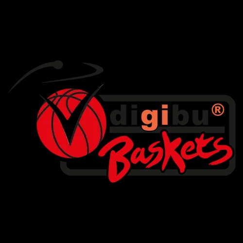webmoebel Baskets logo